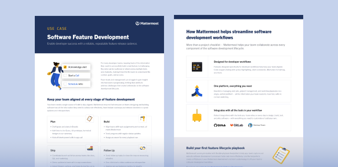 Software feature development datasheet
