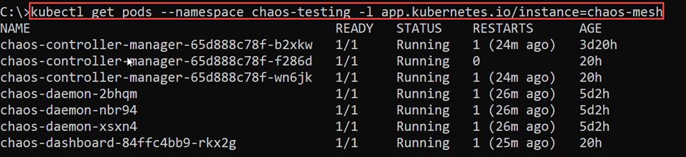 validate kubectl namespace for running pods