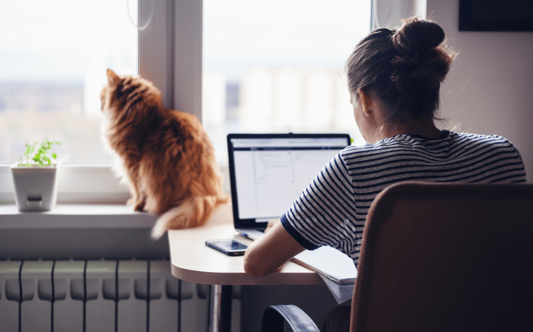 Remote employee with a cat